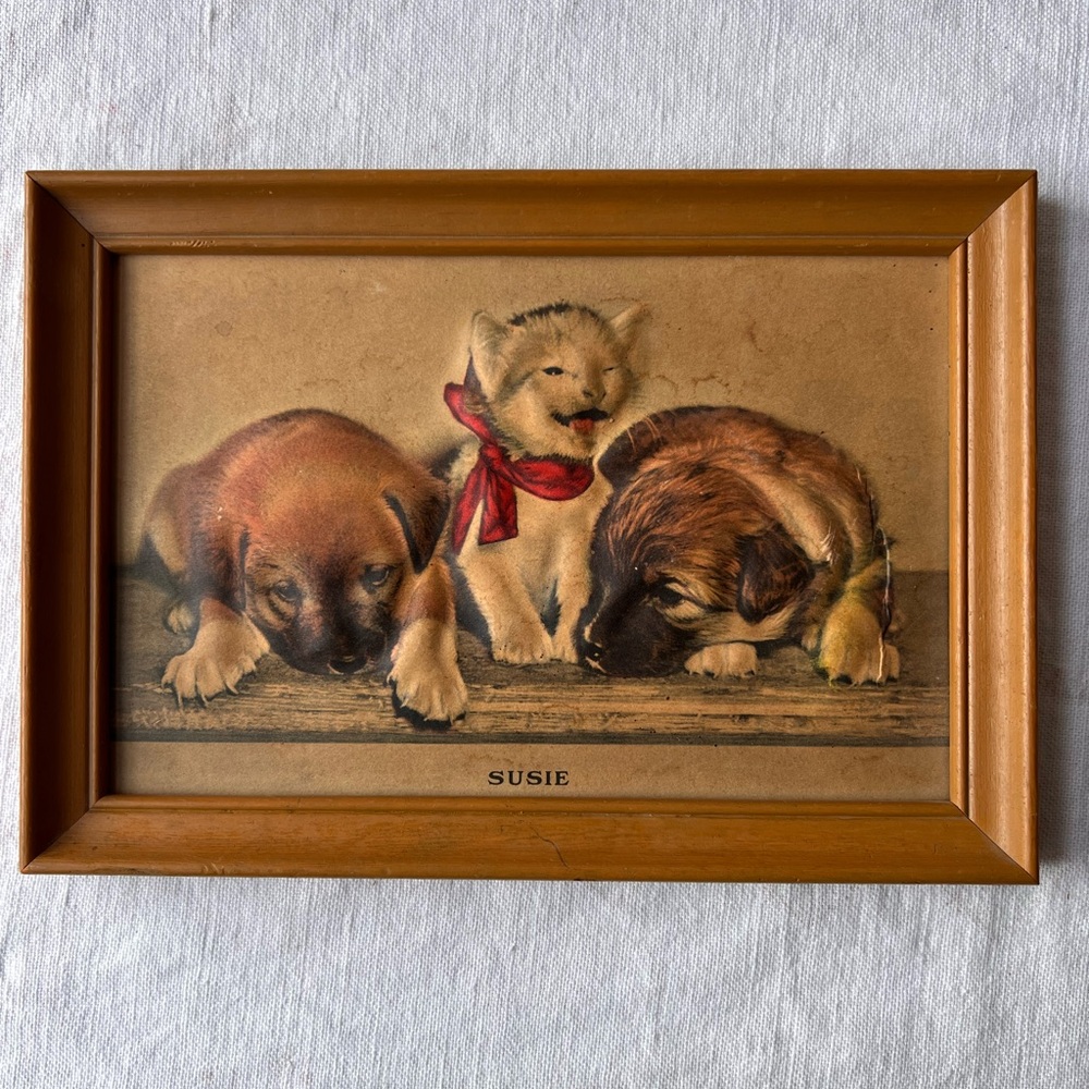 Vintage Animal Print in Wooden Frame